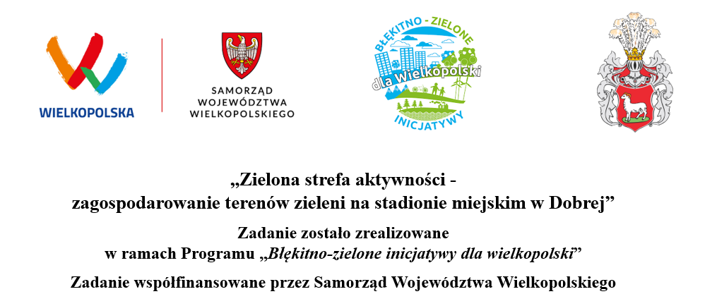 Zielona strefa aktywności - zagospodarowanie terenów...