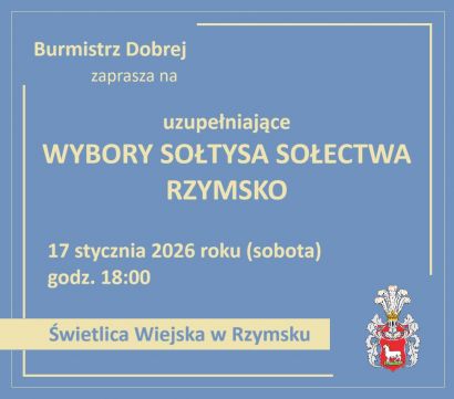 Wybory uzupełniające Sołtysa Sołectwa Rzymsko na...
